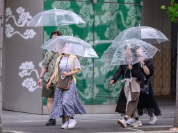 Transparant voorwaarts